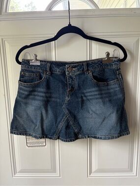 Weather Vane Denim Mini Skirt 🦋
